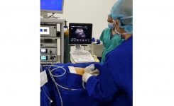 First Radiation-Free Ultrasound-Guided Percutaneous Nephrolithotomy in Pampanga